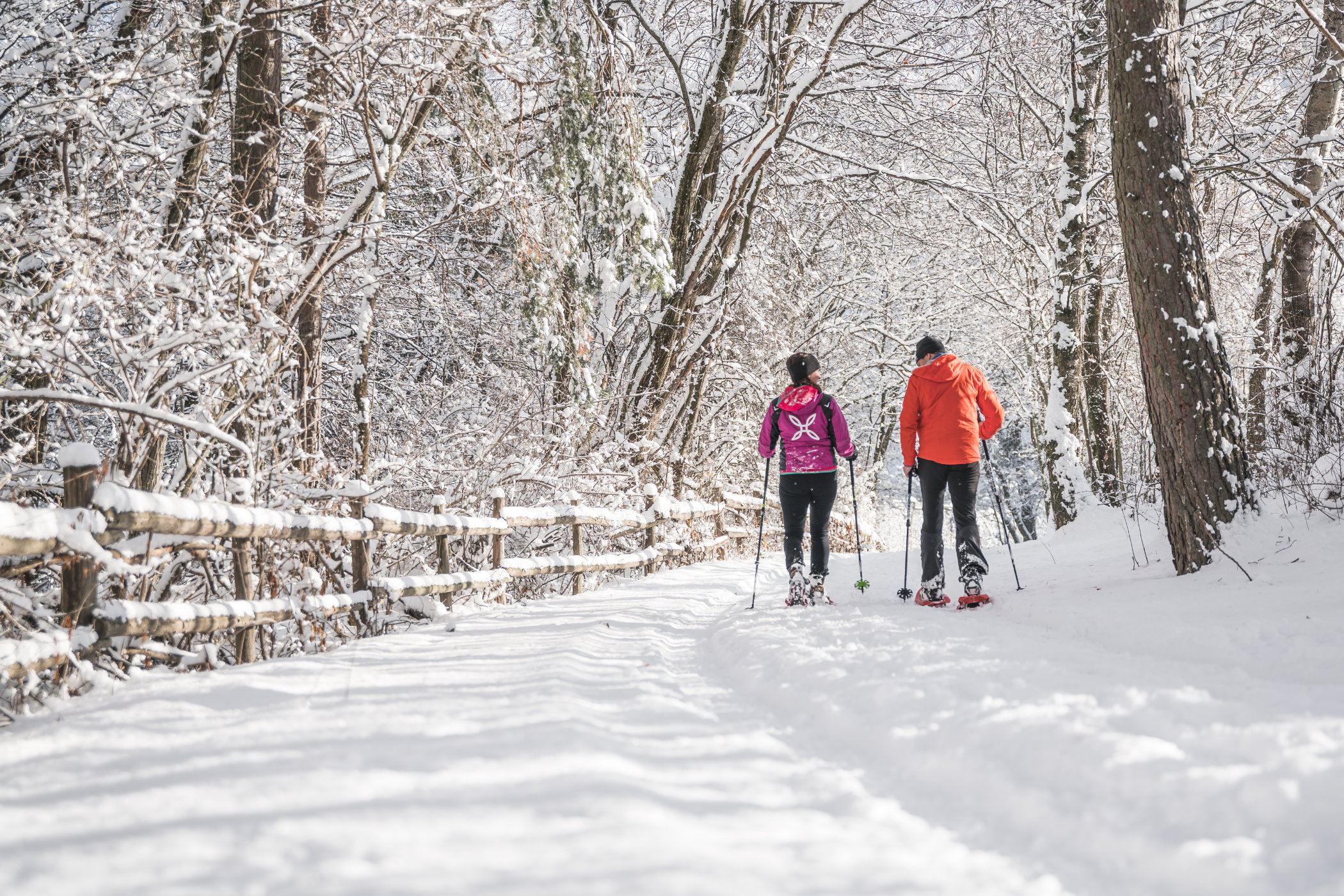 Schneeschuhwanderung